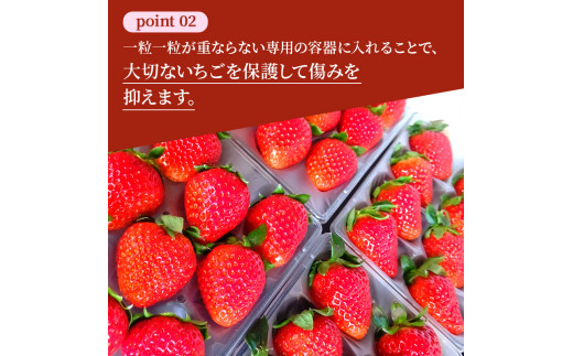 奈良県大和郡山市のふるさと納税 佃農園のこだわり完熟 古都華 【いちご】 [№5990-0476]