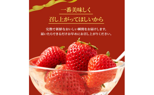 奈良県大和郡山市のふるさと納税 佃農園のこだわり完熟 古都華 【いちご】 [№5990-0476]