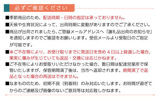 愛媛県西条市のふるさと納税 【先行予約】 水の都 西条市産  「 樹上完熟 レッドパール 」 1箱（化粧箱入り）9玉・12玉・15玉のいずれか　2025年2月～4月頃発送　苺 レッドパール 完熟 いちごマム