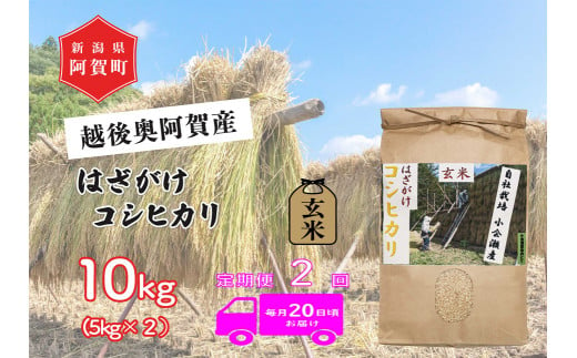 《令和6年産米》【定期便】2回　越後奥阿賀産はざがけ（天日干し）コシヒカリ　玄米10kg（5kg×2袋） 1524599 - 新潟県阿賀町