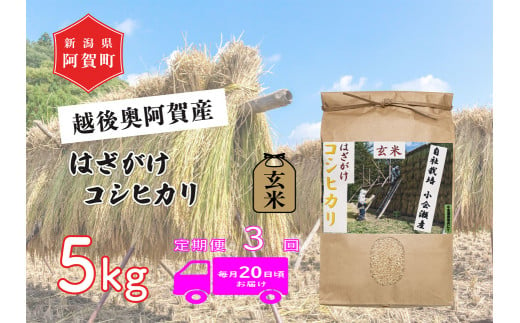 《令和6年産米》【定期便】3回　越後奥阿賀産はざがけ（天日干し）コシヒカリ　玄米5kg（1袋） 1521554 - 新潟県阿賀町