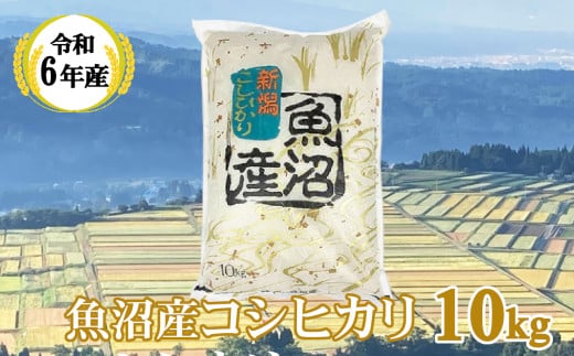 KY29P407 【共栄農工社】令和6年産 魚沼産コシヒカリ10kg 白米 魚沼 米 772422 - 新潟県小千谷市