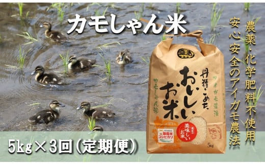 [3回定期便]島根県飯南町産コシヒカリ 「カモしゃん米」5kg [ アイガモ あいがも 合鴨 かも カモ コシヒカリ お米 農家直送 無農薬 化学肥料不使用 玄米 精米 選択可能 安心 安全 新米 令和6年度産 D-53]