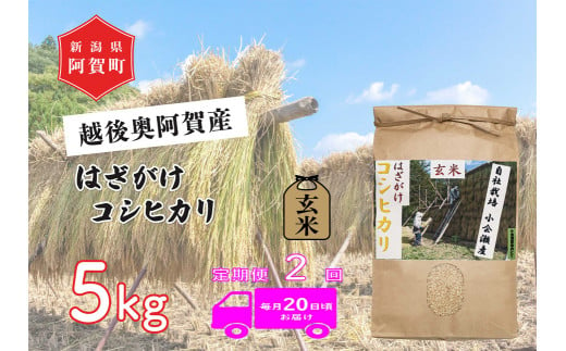 《令和6年産米》【定期便】2回　越後奥阿賀産はざがけ（天日干し）コシヒカリ　玄米5kg（1袋） 1521444 - 新潟県阿賀町