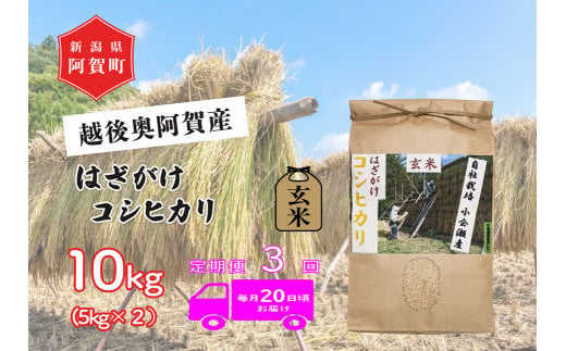 《令和6年産米》【定期便】3回　越後奥阿賀産はざがけ（天日干し）コシヒカリ　玄米10kg（5kg×2袋） 1524609 - 新潟県阿賀町