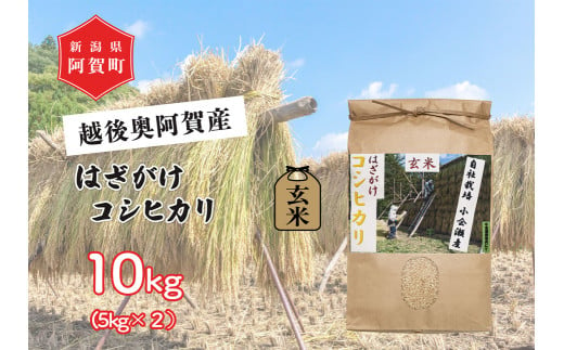 《令和6年産米》越後奥阿賀産はざがけ（天日干し）コシヒカリ　玄米10kg（5kg×2袋） 1524576 - 新潟県阿賀町