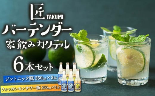 匠バーテンダー 家飲み カクテル ジントニック＆レモンサワー 6本セット 776079 - 岡山県岡山市