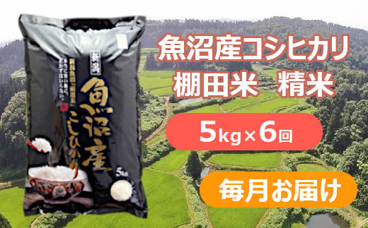 S86P278 【令和6年産 新米予約】魚沼産コシヒカリ・棚田米 白米5kg×6回（毎月）早期受付 2024年9月下旬頃より発送開始 白米 魚沼 米 1403229 - 新潟県小千谷市