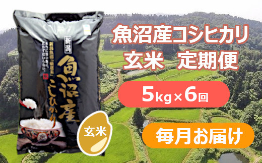 S74P277 【令和6年産 新米予約】魚沼産コシヒカリ・棚田米 玄米5kg×6回（毎月）早期受付 2024年9月下旬頃より発送開始 魚沼 米 1403228 - 新潟県小千谷市