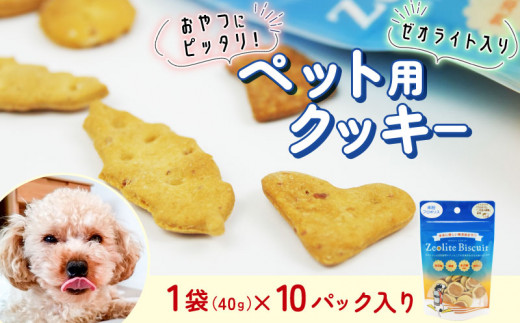 ビスケット 40g×10p 国産 ペットフード おやつ 小分け ペット 犬 いぬ イヌ ドッグ 間食 無添加 米粉 はちみつ ハチミツ 蜂蜜 プロポリス ご褒美 動物 オヤツ 犬用 静岡県 沼津市