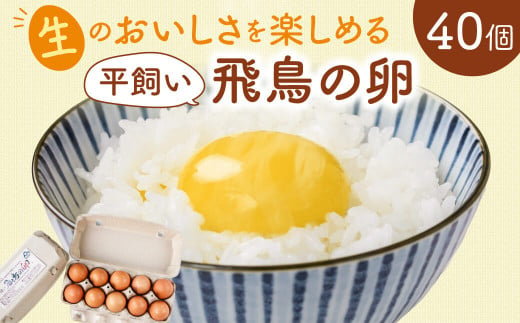 【ふるさと納税】飛鳥の卵（１０個×４箱）定期便３ケ月 たまご 平飼い 卵 玉子 タマゴ 鶏卵 オムレツ 卵かけご飯 たまご焼き たまご 卵 玉子 タマゴ オムレツ 朝食 料理 人気 たまご 卵焼き 鶏卵 たまご料理  古都風雅ファーム 奈良市なら 45-003 1413150 - 奈良県奈良市