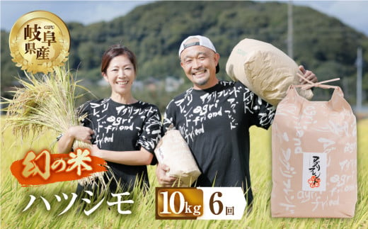 【 6回 定期便 】 令和6年産 ハツシモ 10kg × 6回 6か月 米 こめ ごはん 白米 岐阜県産 本巣市 お米 精米 甘い 和食 寿司 アグリフレンドホリグチ