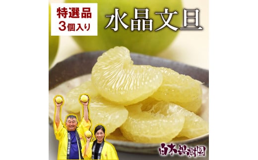 高知県産水晶文旦 特選ご贈答用 2Lサイズ 3個入り ぶんたん ブンタン 水晶文旦 果物 柑橘 フルーツ お取り寄せ 特産品 おいしい