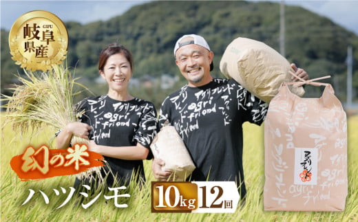 【 12回 定期便 】 令和6年産 ハツシモ 10kg × 12回 12か月 米 こめ ごはん 白米 岐阜県産 本巣市 お米 精米 甘い 和食 寿司 アグリフレンドホリグチ