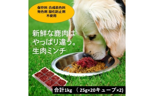 犬用鹿肉生肉ミンチ  25g×20キューブｘ2パック犬用 鹿肉 国産 1kg～10kg 小分け 保存料不使用 着色料 不使用 無添加 生肉 アレルギー対策 健康づくり ドッグフード 自社加工 高タンパク 低脂肪 ダイエット 100%永平寺産 シニア 高齢犬 老犬 永平寺 福井 ウェステックスジャパン 森のごはん [B-036006] 1504492 - 福井県永平寺町