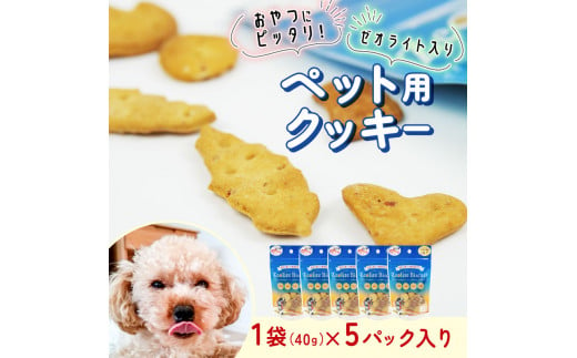 ビスケット 40g×5p 国産 ペットフード おやつ 小分け ペット 犬 いぬ イヌ ドッグ 間食 無添加 米粉 はちみつ ハチミツ 蜂蜜 金目鯛 キンメダイ ご褒美 動物 オヤツ 犬用 静岡県 沼津市