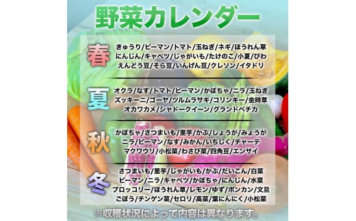 旬 野菜 詰め合わせ セット 7~8品種 高知県 須崎市 やさい 送料無料 AWA009_x - 高知県須崎市｜ふるさとチョイス - ふるさと納税サイト