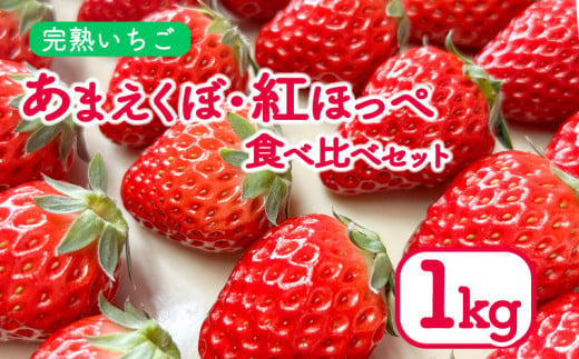 いちご 1kg 紅ほっぺ あまえくぼ 食べ比べ セット ( 2025年 1月 以降 発送予定 )  4パック 朝採れ 期間限定 人気 果物 フルーツ 新鮮 旬 冬 春 ケーキ ショートケーキ デザート ギフト 贈り物 贈答 イチゴ 苺 ストロベリー 徳島県 吉野川市 あんいちご園