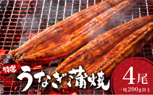 うなぎ蒲焼き 800g (200g×4尾) ／ 国産 蒲焼き 長焼き ウナギ 鰻 蒲焼 冷凍 贈答 うなぎ 1359562 - 佐賀県大町町