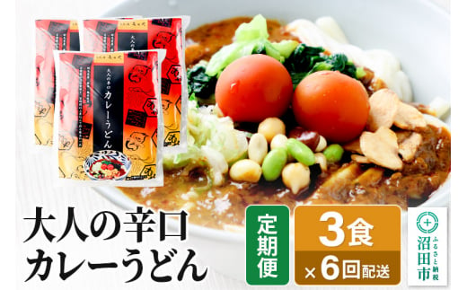 《定期便6回》みのや 大人の辛口カレーうどん 3食セット 1438236 - 群馬県沼田市