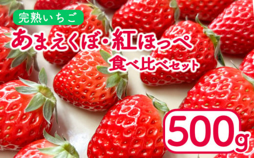 いちご 500g 紅ほっぺ あまえくぼ 食べ比べ セット ( 2025年 1月 以降 発送予定 )  2パック 朝採れ 期間限定 人気 果物 フルーツ 新鮮 旬 冬 春 ケーキ ショートケーキ デザート ギフト 贈り物 贈答 イチゴ 苺 ストロベリー 徳島県 吉野川市 あんいちご園