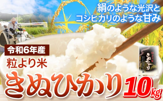 令和6年産 粒より米 きぬひかり 10kg JA紀州 さわやか日高《90日以内に出荷予定(土日祝除く)》 和歌山県 日高町 米 こめ コメ きぬひかり キヌヒカリ 送料無料 精米