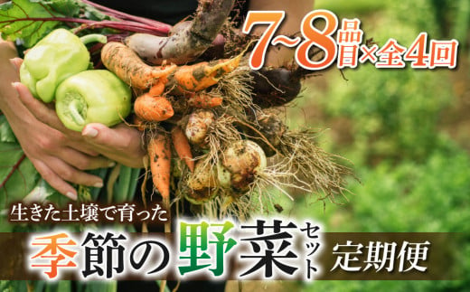 先行予約【里山JAPAN】【４回定期便】生きた土壌で育った『季節の野菜セット』｜２０２５年７月以降発送予定 1505173 - 長野県東御市