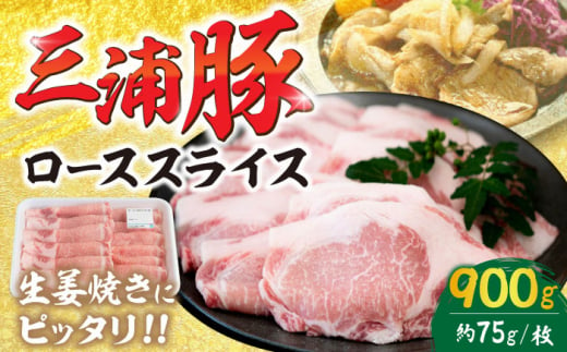 三浦豚 豚肉 ロース 900g ブランド豚 国産 ポーク 生姜焼き 恵那市 / あづま精肉店 [AUDL003] 730548 - 岐阜県恵那市