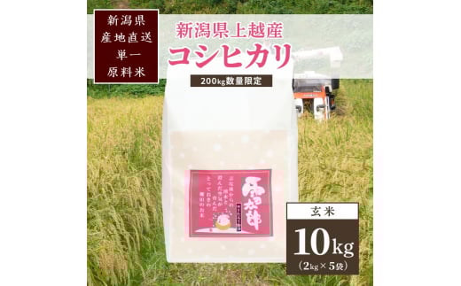 米 200kg数量限定 令和5年／新潟上越産「標高480ｍの山間地で育てた棚田米コシヒカリ」玄米10kg コシヒカリ 714065 - 新潟県上越市