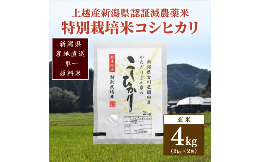 米 お米 数量限定 令和5年産 新潟県 認証米/特別栽培米コシヒカリ玄米4kg（2kg×2袋）こしひかり 874152 - 新潟県上越市