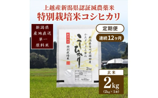 定期便 12ヶ月 新潟県認証減農薬米 特別栽培米 コシヒカリ 玄米 2kg 米 お米 こめ こしひかり 新潟 上越 1035141 - 新潟県上越市