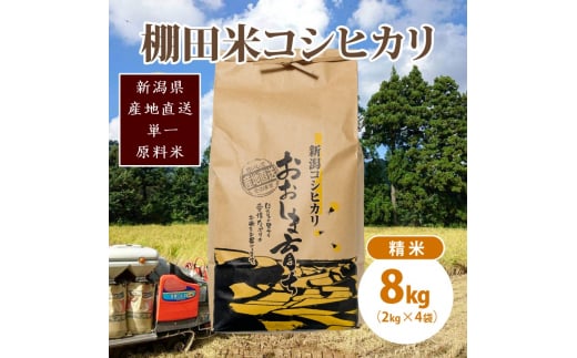 極少量米:数量限定令和6年産/新潟県上越市大島区産 棚田米コシヒカリ 8kg(2kg×4)精米