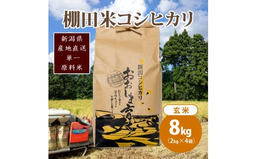 極少量米:数量限定令和6年産/新潟県上越市大島区産 棚田米コシヒカリ 8kg(2kg×4)玄米