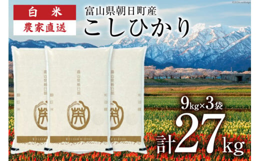 期間限定発送 米 令和6年 こしひかり 精米 27㎏ (9kg×3袋) [クリーンみず穂 富山県 朝日町 34310438] お米 コシヒカリ コメ ご飯 ごはん 白米 産地直送 一等米  おこめ こめ 555417 - 富山県朝日町