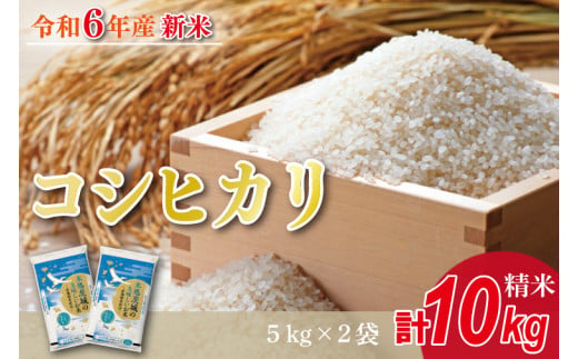 ★新米★【数量限定】R6年産 コシヒカリ 10kg(5kg×2袋)　茨城県産米(HA-2) 1497953 - 茨城県行方市