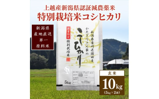 米 お米 数量限定 令和5年産 新潟県上越市吉川区国田産 新潟県認証米/特別栽培米コシヒカリ玄米10kg 5kg×2 874156 - 新潟県上越市