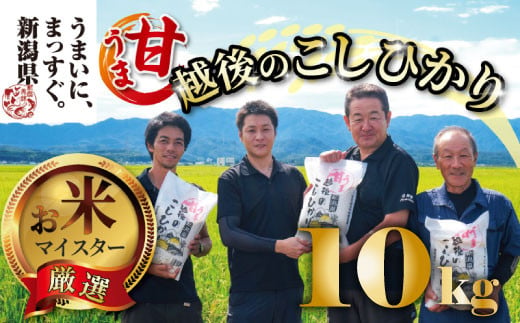 【令和6年産】 新米 コシヒカリ 10kg 5kg 2袋 甘うま越後のこしひかり 越後 えちご 特別栽培米 新潟 コメ こめ お米 米 しんまい 新潟県 新潟米 新発田市 新発田産