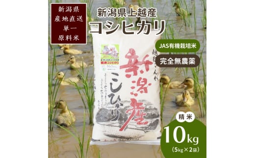 米 令和6年・新潟県産｜JAS有機栽培アイガモ農法コシヒカリ100% 精米10kg｜5kg×2袋 お米 こしひかり 新潟 714143 - 新潟県上越市