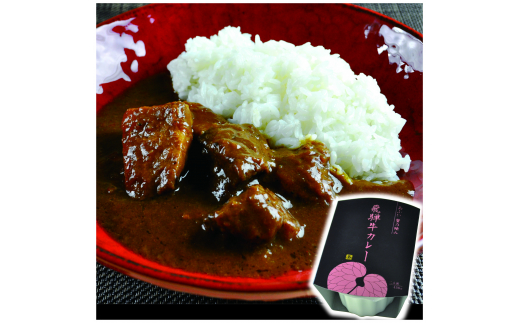 -あふひ 贅の極み- 飛騨牛カレー 2人前×4個セット / レトルトカレー ご当地カレー 常温保存 時短 / 恵那市 / テンポイント [AUEU003] 1072262 - 岐阜県恵那市