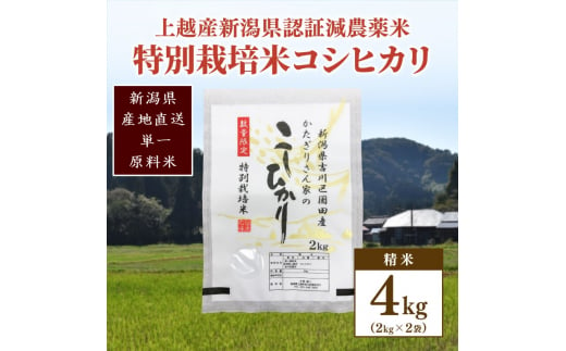 米 お米 数量限定 令和5年産 新潟県 認証米/特別栽培米コシヒカリ精米4kg（2kg×2袋）こしひかり 874151 - 新潟県上越市