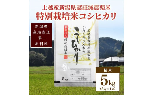 米 お米 数量限定 令和5年産 新潟県上越市吉川区国田産 新潟県認証米/特別栽培米 コシヒカリ 精米5kg 874153 - 新潟県上越市