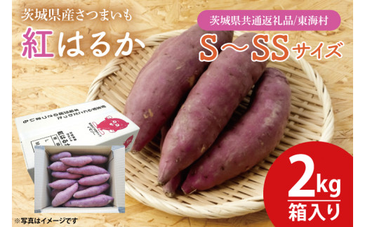 【数量限定】紅はるかS～SSサイズ2kg箱【茨城県共通返礼品/東海村】【さつまいも 芋 いも  焼き芋 焼芋 やきいも 水戸市 茨城県 3000円以内】（KE-2） 1449455 - 茨城県水戸市