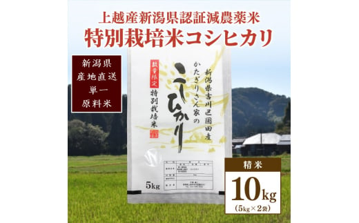 米 お米 数量限定 令和5年産 新潟県上越市吉川区国田産 新潟県認証米/特別栽培米コシヒカリ精米10kg 5kg×2 874155 - 新潟県上越市