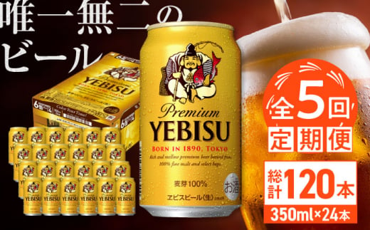 【全5回定期便】サッポロ ヱビスビール 350ml×24缶　合計120缶 日田市 / 株式会社綾部商店 [ARDC001]