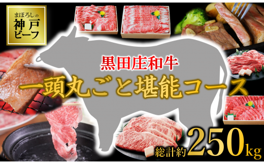 [まぼろしの神戸ビーフ]黒田庄和牛1頭まるごとお届けセット (10000-1)肉 niku にく オーダー 定期便 完全受注 個別対応 カスタム 黒田庄和牛 焼肉 すき焼き しゃぶしゃぶ ステーキ 丸ごと まるごと 1頭買い