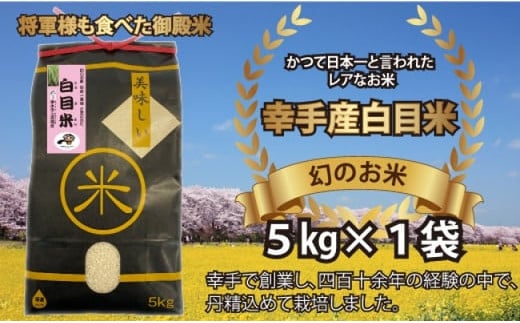 【令和6年産米】幻のお米 日本一美味 と言われた 白目米 5kg 503581 - 埼玉県幸手市