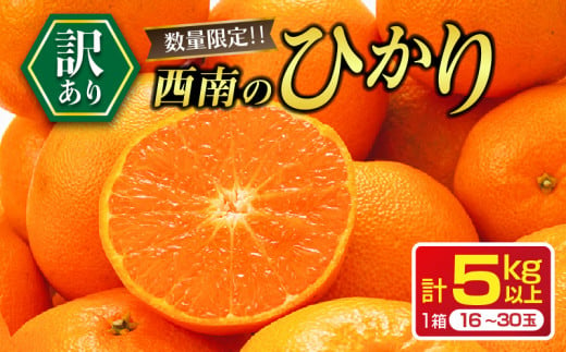 先行予約 訳あり 西南のひかり 5kg ご家庭用 みかん オレンジ フルーツ 果物 くだもの 柑橘 果実 果肉 デザート おやつ 国産 食品 おすそ分け おすそわけ 自宅用 人気 おすすめ 宮崎県 日南市 送料無料_BA82-24 1517123 - 宮崎県日南市