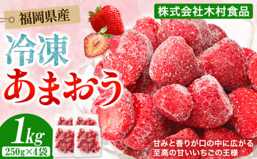 福岡県産 冷凍あまおう 小分けパック 1kg(250g×4袋) 株式会社木村食品《90日以内に出荷予定(土日祝除く)》福岡県 小竹町 冷凍あまおう いちご 冷凍フルーツ 果物 送料無料 1501576 - 福岡県小竹町