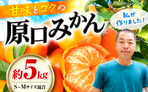 【おすそわけにも！】 【贈答用】 原口みかん 約 5kg（S～Mサイズ混合） ＜最強の兼業農家山田さん＞ [CCX010]  長崎 西海 みかん ミカン 蜜柑 柑橘 みかん 温州みかん 贈答 ギフト 1506058 - 長崎県西海市