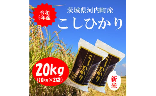 令和6年産茨城県河内町産コシヒカリ20kg(10㎏×2袋)【1254350】 699954 - 茨城県河内町